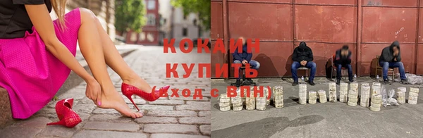 сатива Новокубанск