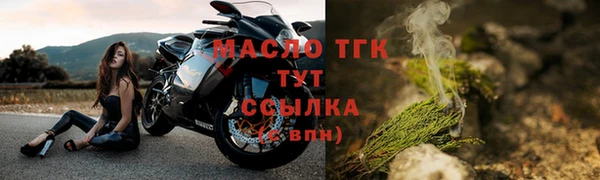 сатива Сясьстрой