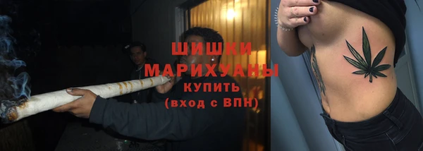 сатива Новокубанск
