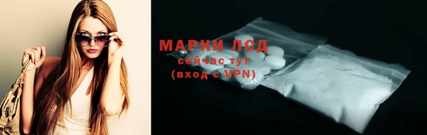таблы Новозыбков