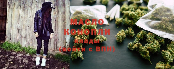 крисы Няндома