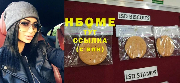 молекула духа Новодвинск