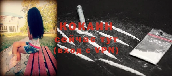 таблы Новозыбков